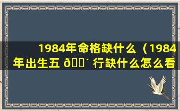 1984年命格缺什么（1984年出生五 🐴 行缺什么怎么看 🌷 ）